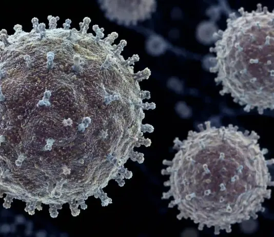 Hantavirus riscuri oms