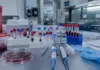 Hantavirus riscuri oms global