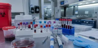Hantavirus riscuri oms global
