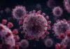 Hantavirus romania bihor arad