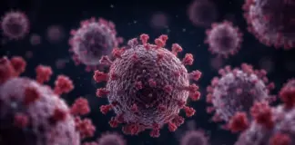 Hantavirus romania bihor arad