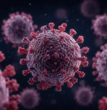 Hantavirus romania bihor arad