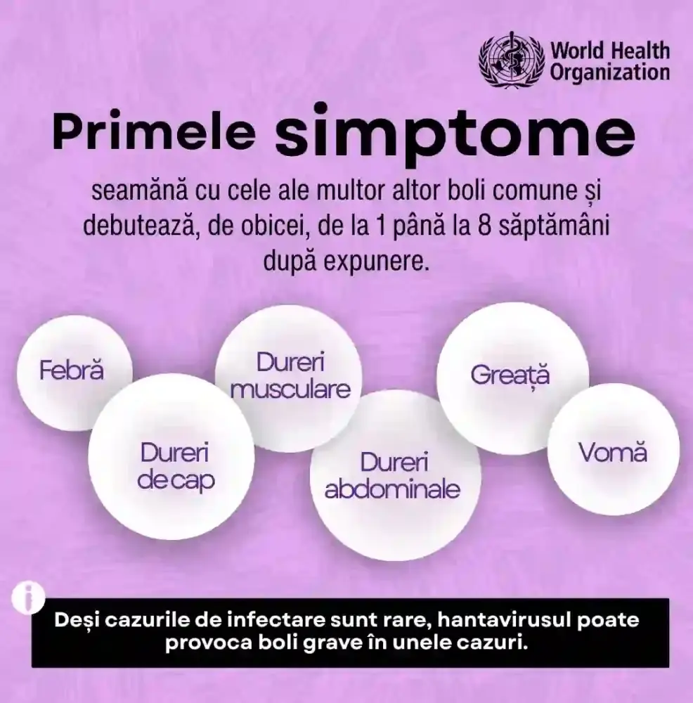 Hantavirus simptome Romania oms Hantavirus simptome Romania oms