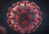 Hantavirus: AVERTIZAREA de Ultimă Oră a Comisiei Europene și Decizia Luată Oficial în UE Hantavirus tratament vaccin