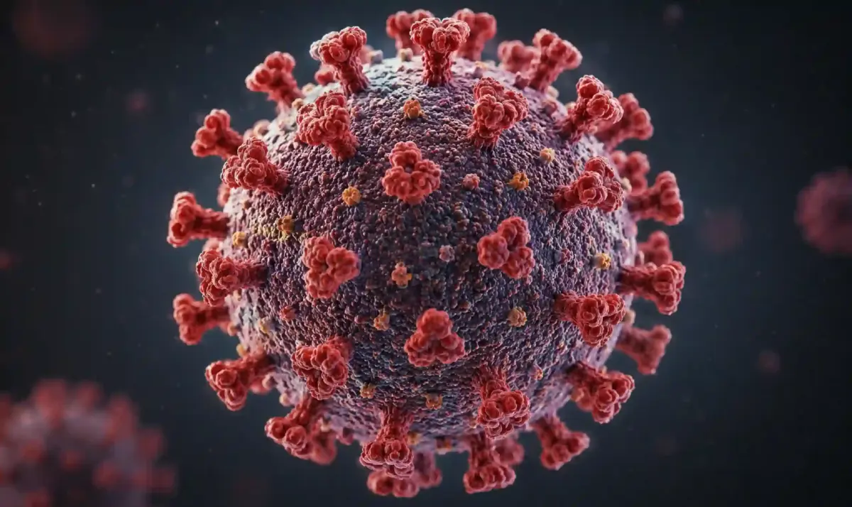 Hantavirus tratament vaccin Hantavirus tratament vaccin