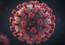 Hantavirus: AVERTIZAREA de Ultimă Oră a Comisiei Europene și Decizia Luată Oficial în UE Hantavirus tratament vaccin