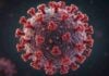 Hantavirus vaccin tratament program