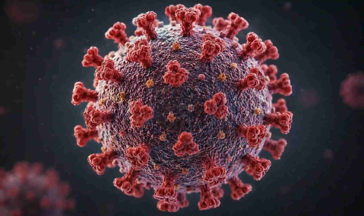 Hantavirus vaccin tratament program Hantavirus vaccin tratament program