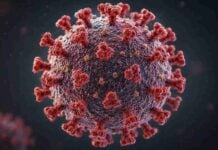 Hantavirus vaccin tratament program