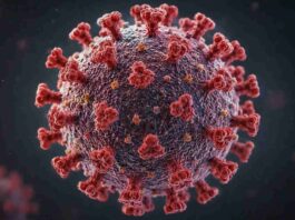 Hantavirus vaccin tratament program
