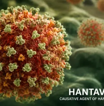 OMS Publică Măsurile de Protecție Împotriva Hantavirus pentru a Evita Infectarea OMS hantavirus protectie infectare