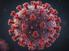 hantavirus roamania infectare insp