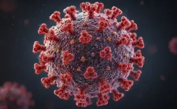 hantavirus roamania infectare insp