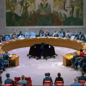 România a Convocat Consiliul de Securitate al ONU după Drona Rusească Căzută în Galați