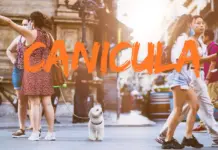 4 ATENTIONARI meteo de Canicula in Romania Emise de ANM, Vreme cu Temperaturi Ridicate pe 20 Iunie 2026 atentionare canicula 20 iunie 2026