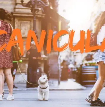 4 ATENTIONARI meteo de Canicula in Romania Emise de ANM, Vreme cu Temperaturi Ridicate pe 20 Iunie 2026 atentionare canicula 20 iunie 2026