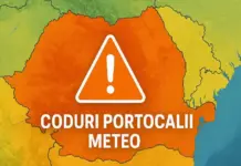 2 Coduri PORTOCALII Nowcasting cu ALERTE Meteo de ULTIMA ORA ANM pentru Ploi Torentiale si Rafale de Vant pe 8 Iulie 2026 in Romania 2 Coduri PORTOCALII Nowcasting cu ALERTE Meteo de ULTIMA ORA ANM pentru Ploi Torentiale si Rafale de Vant pe 8 Iulie 2026 i