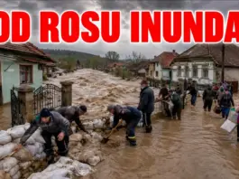 Village floods as muddy water rises; residents and volunteers stack sandbags to build a barrier around homes.