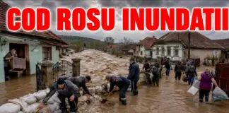 Village floods as muddy water rises; residents and volunteers stack sandbags to build a barrier around homes.