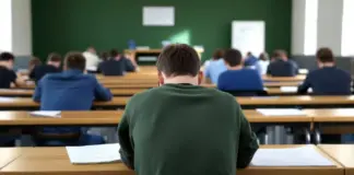 Hotărârea de Guvern Publicată de Ministrul Educației privind un Program Dedicat Elevilor Români
