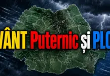Ploi Torentiale si Vant Puternic Anuntate cu 2 ATENTIONARI Meteo de ULTIMA ORA cu Vreme Severa in Romania pe 8 Iulie 2026