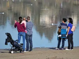Group of five people by a lake shore, a baby in pink held by one adult, a stroller on the ground nearby.