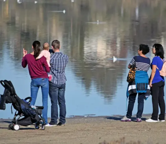 Group of five people by a lake shore, a baby in pink held by one adult, a stroller on the ground nearby.