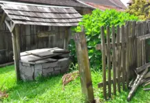 Fantana Ilegala in Curte, Anuntul Ministrului Mediului fantana ilegala in curte