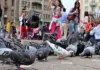 5 Crize Suprapuse in Romania care Apasa Grav pe Milioane de Oameni Zilnic 5 Crize Suprapuse in Romania care Apasa Grav pe Milioane de Oameni Zilnic