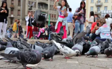 5 Crize Suprapuse in Romania care Apasa Grav pe Milioane de Oameni Zilnic 5 Crize Suprapuse in Romania care Apasa Grav pe Milioane de Oameni Zilnic