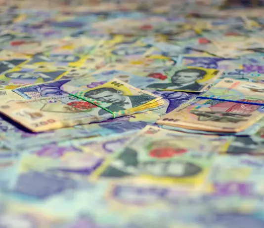 EURO Creste si se Apropie de Recordul Absolut din Mai
