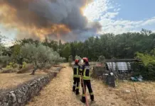 Incendiile din Franta si Spania au Socat Europa, iar Ingrijorarile s-au Dovedit a fi Intemeiate
