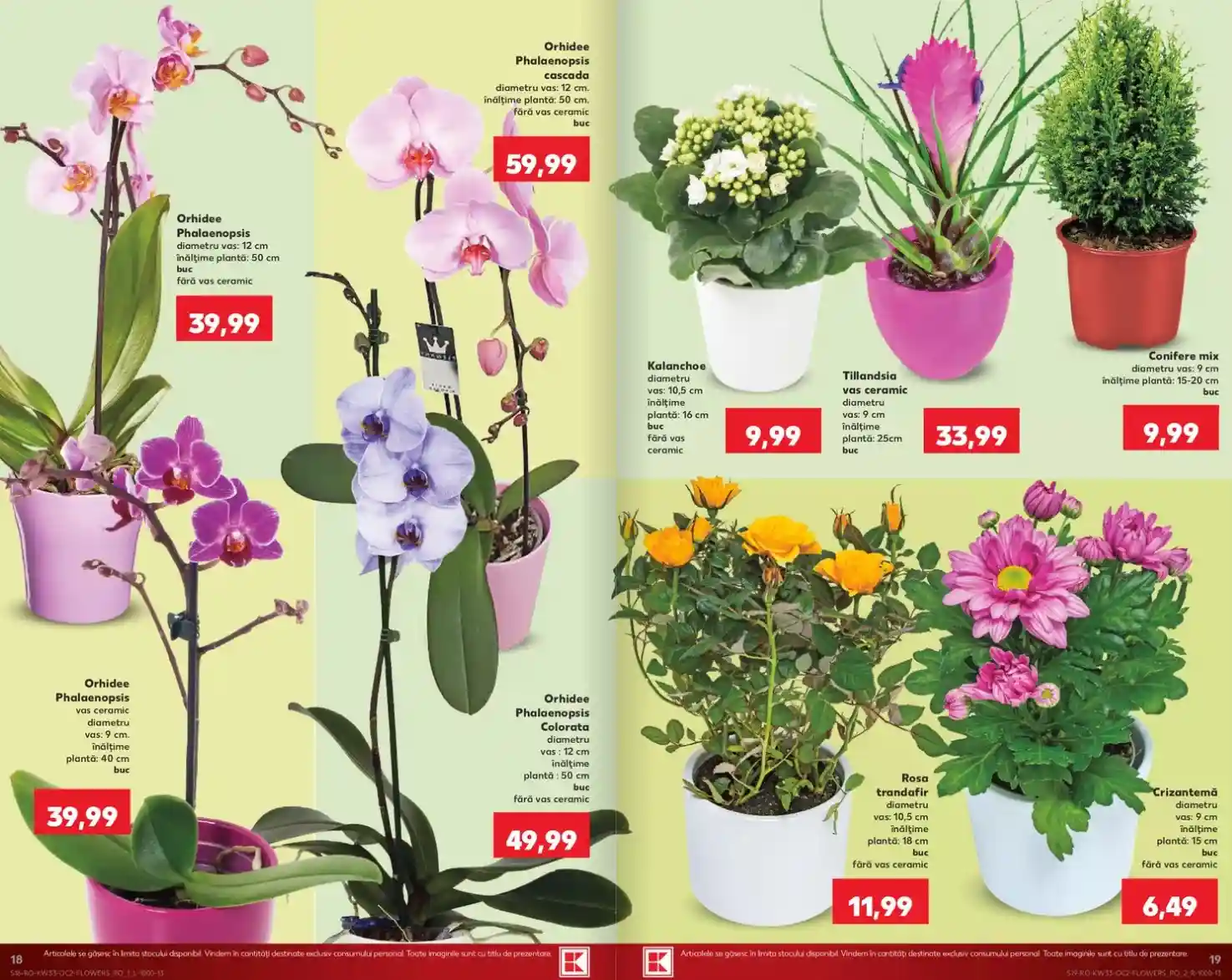 Kaufland catalogul ofertele magazine card - pagina 18 - 19 | iDevice.ro Kaufland catalogul ofertele magazine card - pagina 18 - 19