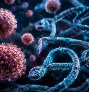 OMS: Extrem de Ingrijorator Semnal de Alarma din Cauza Exploziei Cazurilor de Ebola Microscopic view of red, spiky virus-like spheres and blue twisted strands in a dark background, suggesting a viral scene.