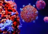 Variantele Coronavirus circulante în toamna anului 2026 și cât de periculoase sunt Coronavirus variante 2026