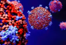Variantele Coronavirus circulante în toamna anului 2026 și cât de periculoase sunt Coronavirus variante 2026