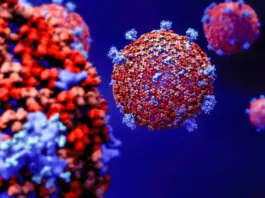 Coronavirus variante 2026