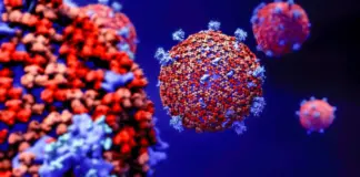 Coronavirus variante 2026