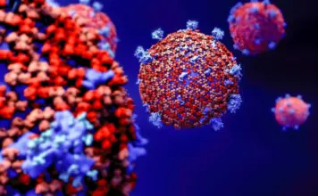 Variantele Coronavirus circulante în toamna anului 2026 și cât de periculoase sunt Coronavirus variante 2026