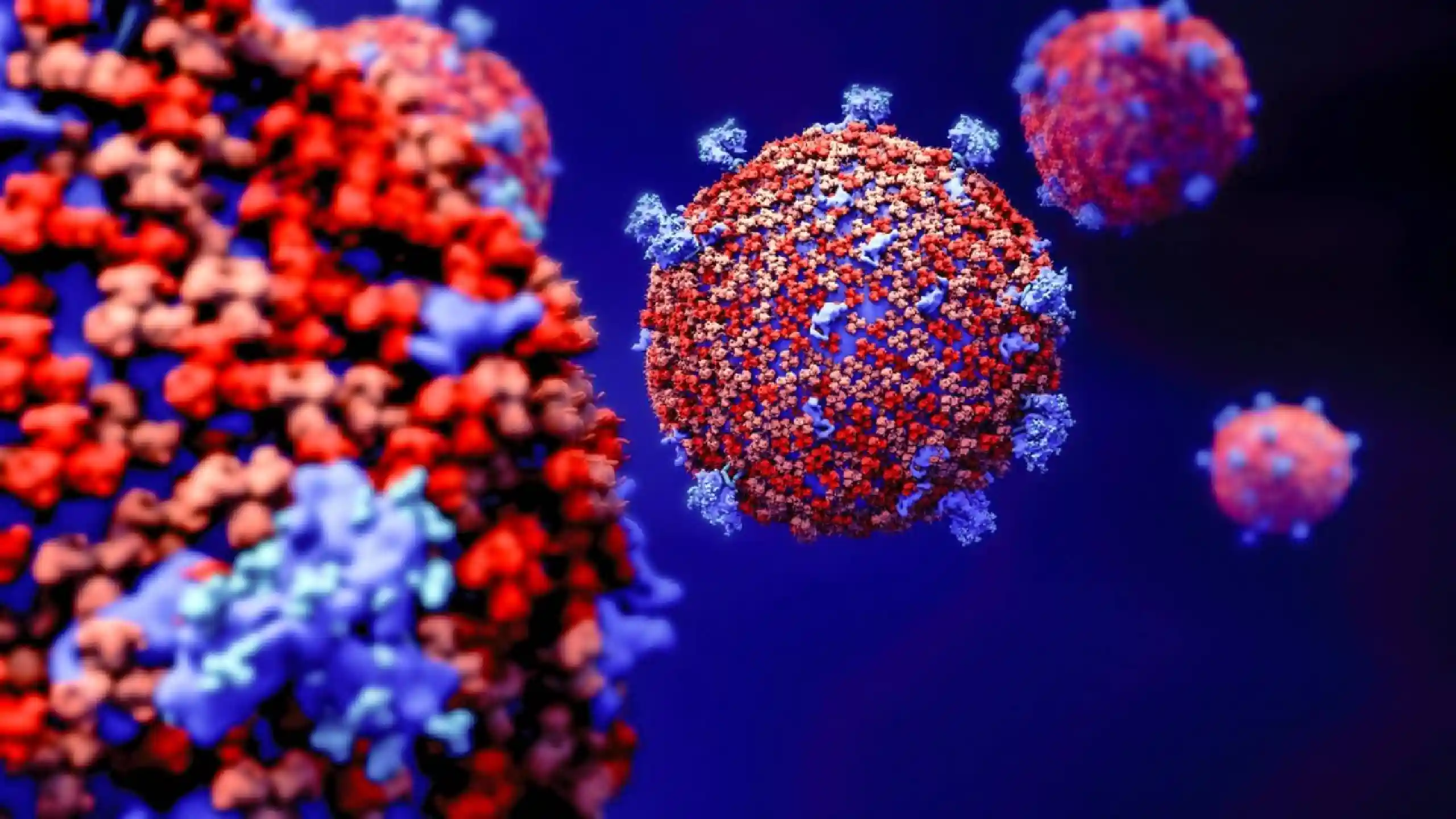 Coronavirus variante 2026 Coronavirus variante 2026