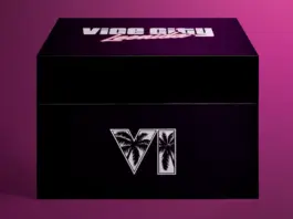 GTA 6 colecție Vice City