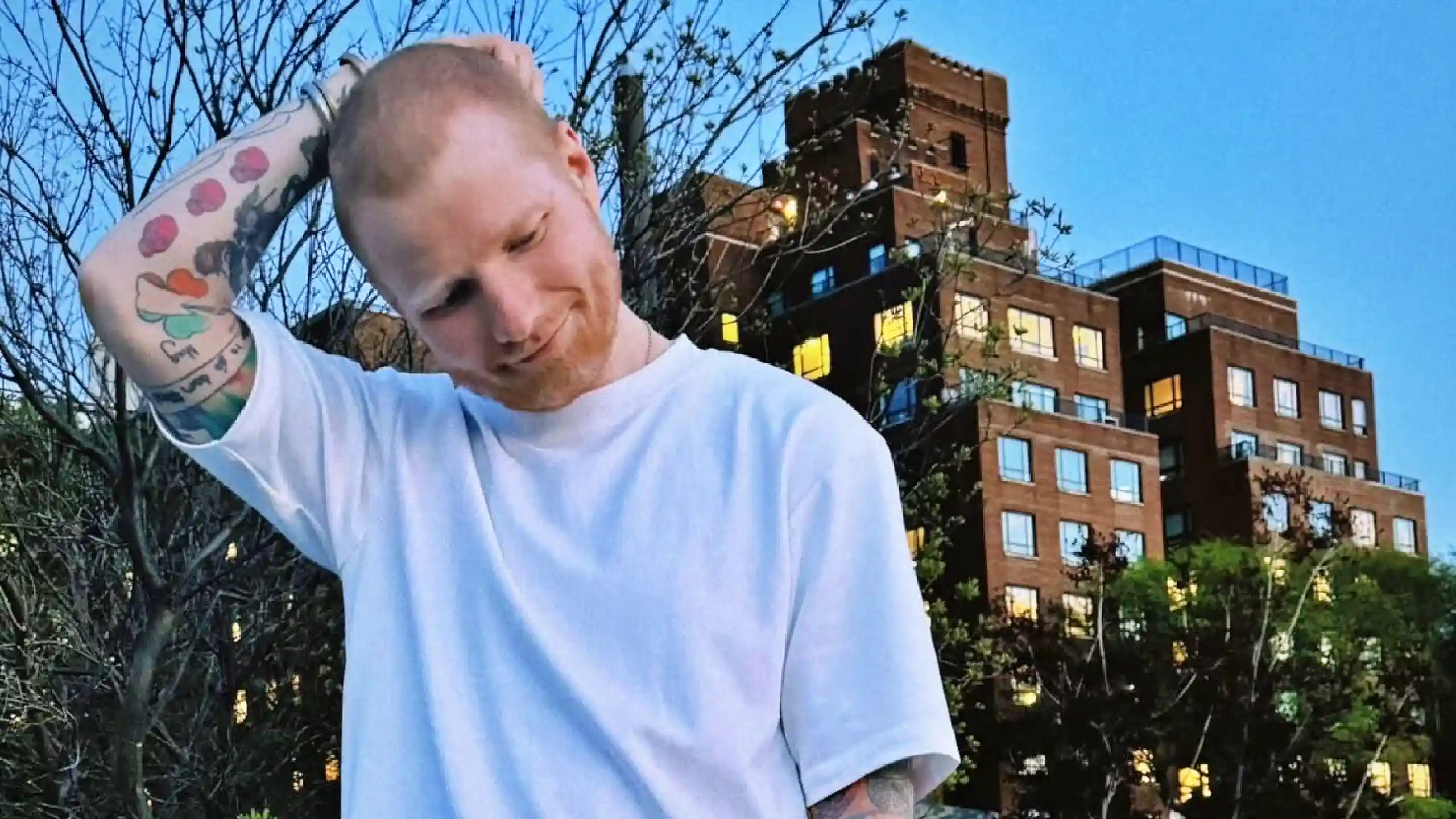 ed sheeran palestina gaza