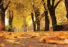 prognoza meteo anm vremea răcește