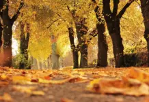 Schimbările vremii în următoarele săptămâni, prognoza meteo ANM anunță temperaturi mai mici în România prognoza meteo anm vremea răcește