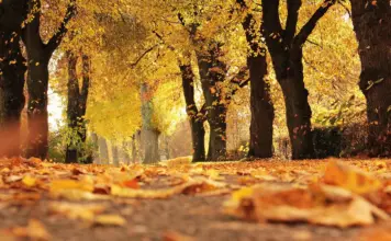 Schimbările vremii în următoarele săptămâni, prognoza meteo ANM anunță temperaturi mai mici în România prognoza meteo anm vremea răcește
