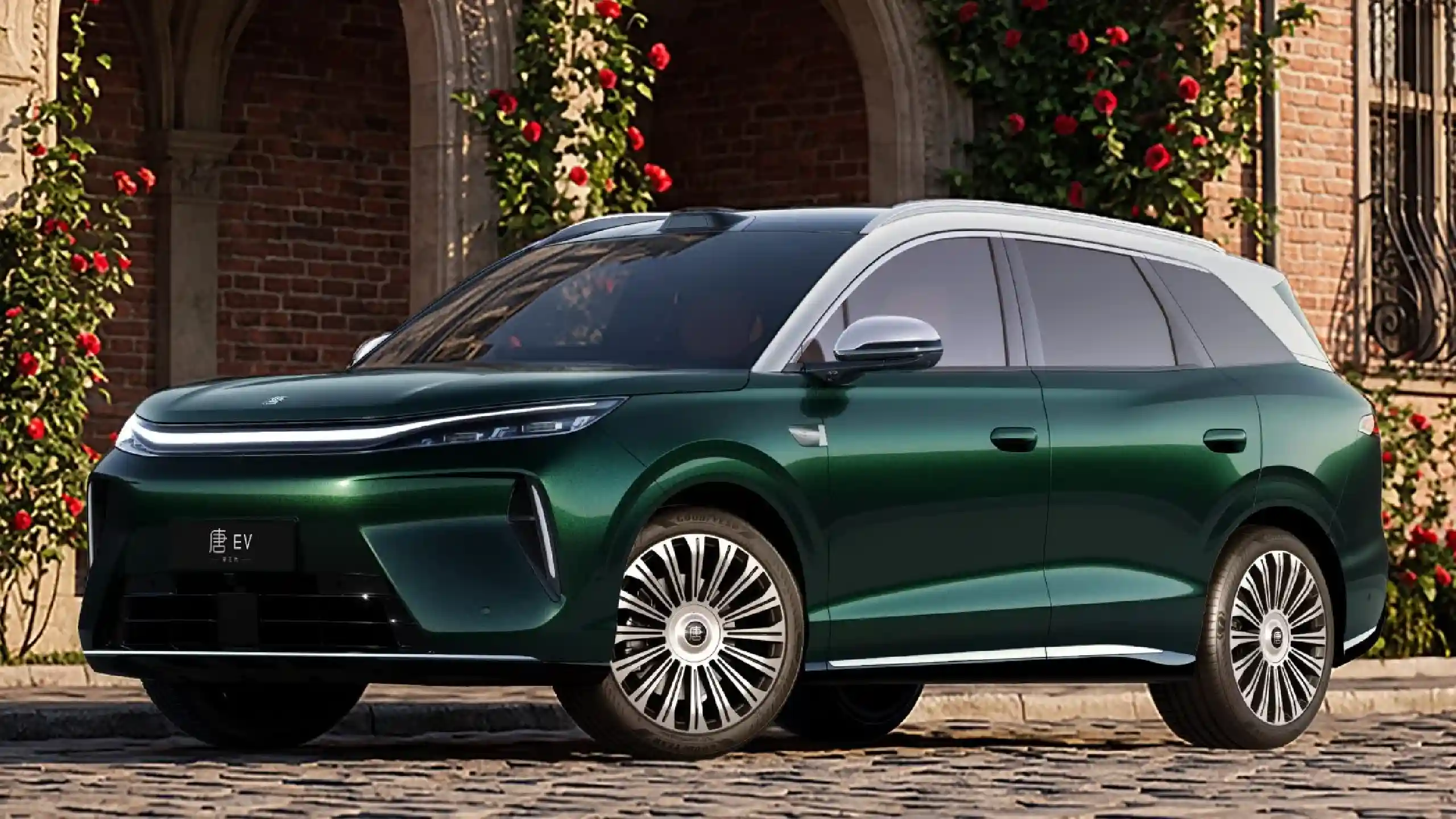 BYD Tang 2026
