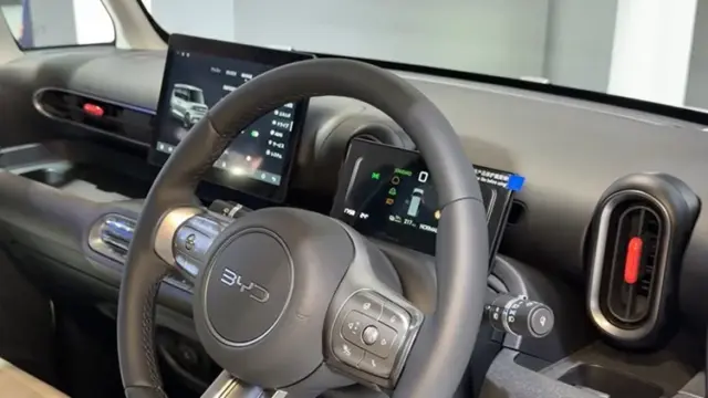 BYD Racco volan