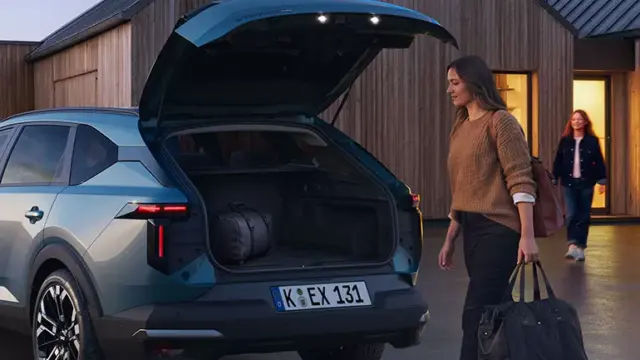 dacia striker bagaje pasageri