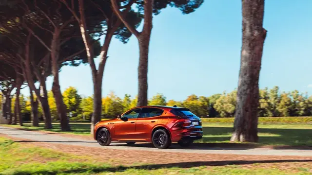 maserati copaci