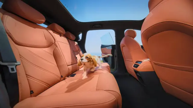Changan Nevo interior pasageri